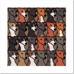 Greyhounds Coat Colors Pattern Posters and Art